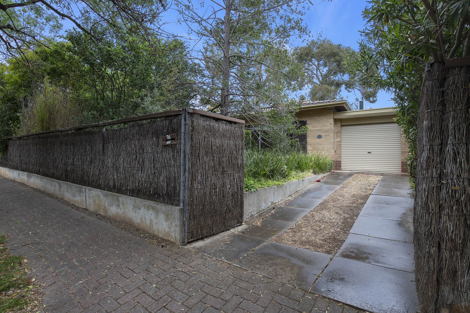 50 Sturdee Street, Linden Park SA 5065, Image 2