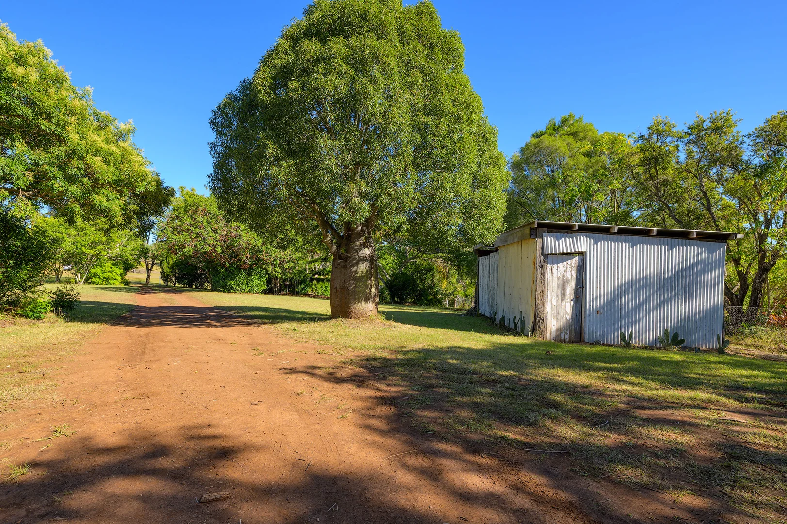 Image 22