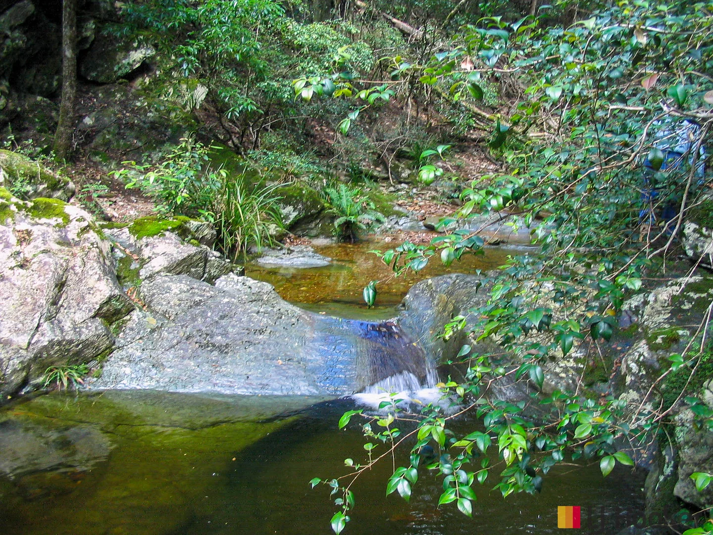 Image 9