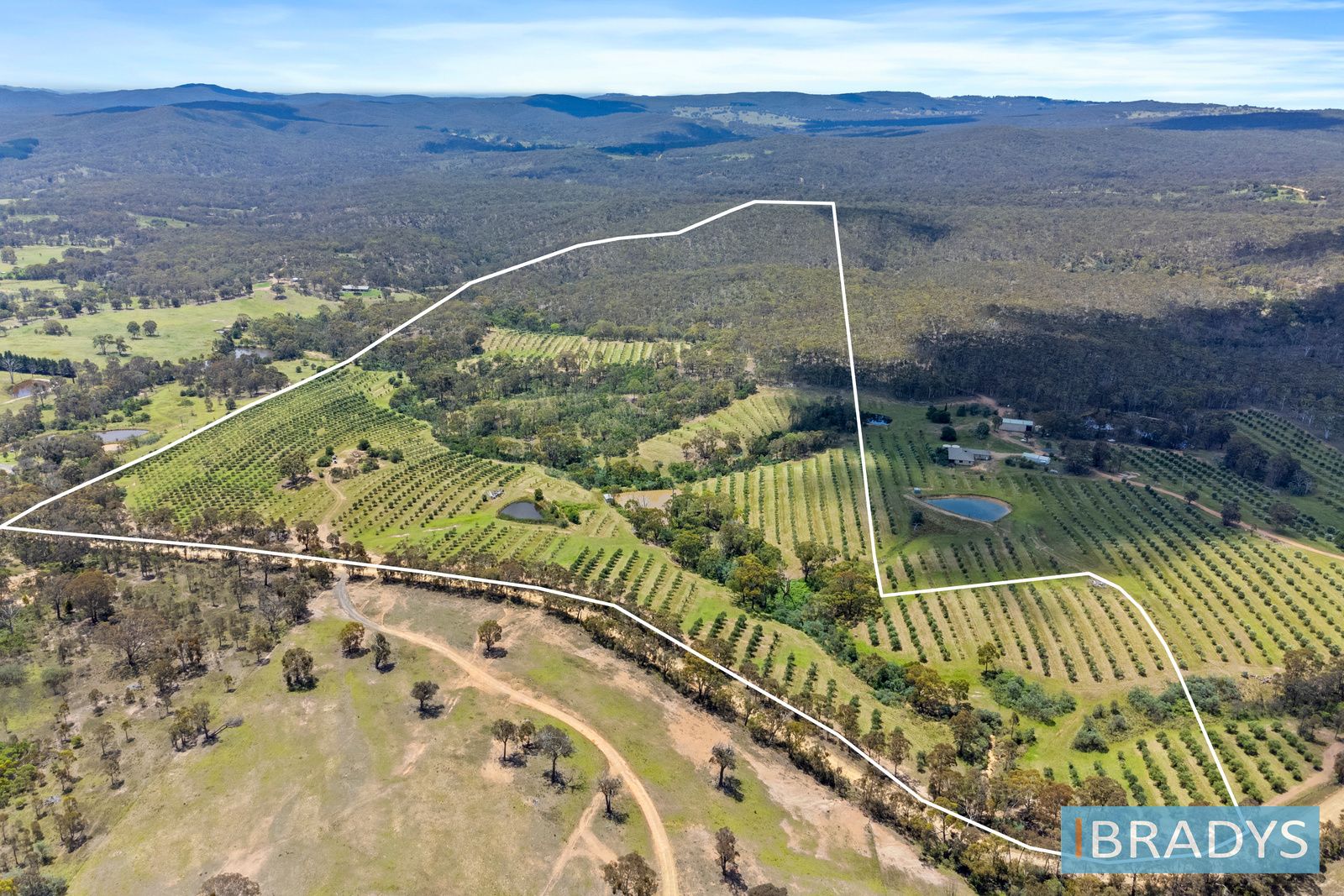 1/569 Marked Tree Road, Gundaroo NSW 2620, Image 0