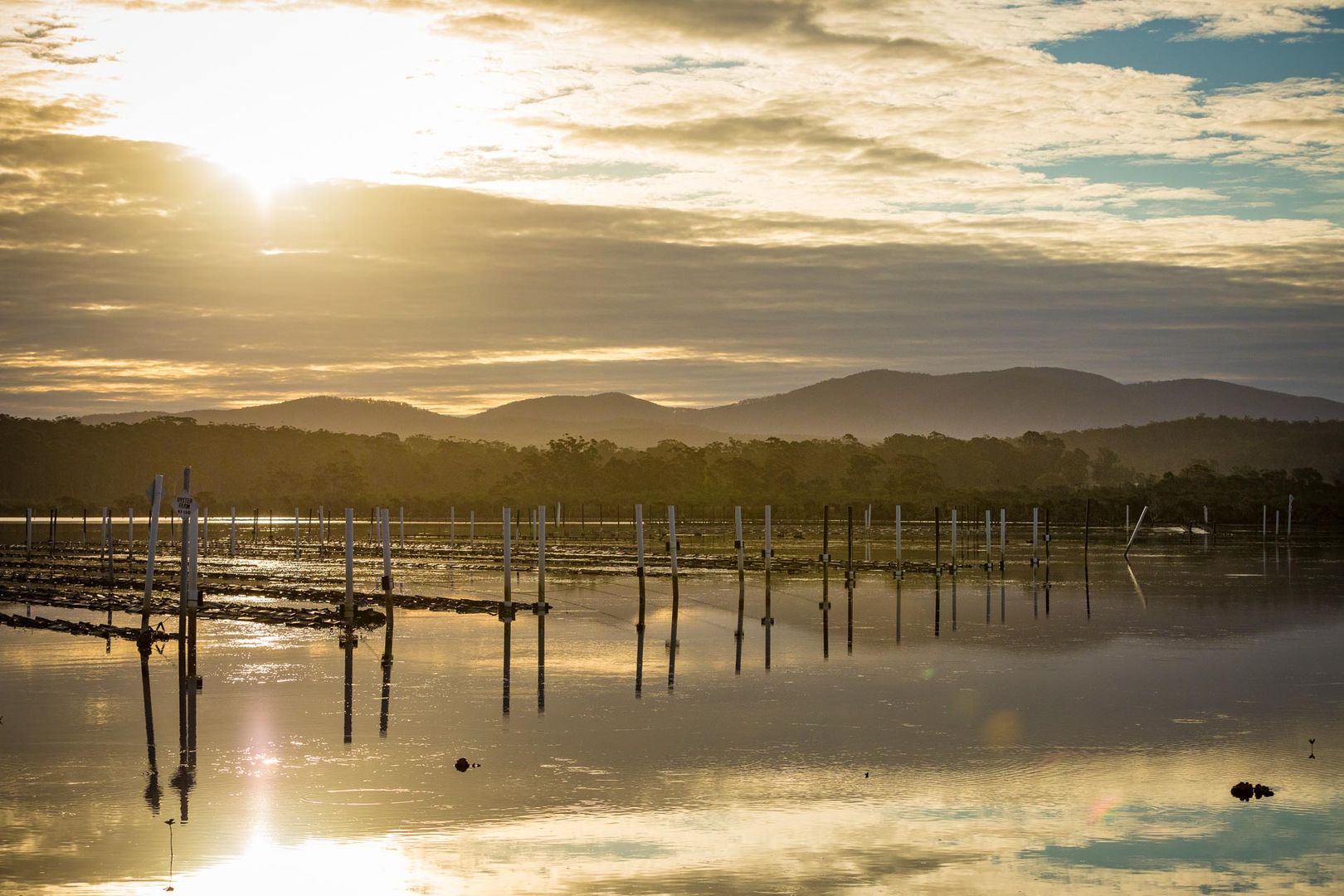 149 Wapengo Lake Road, Wapengo NSW 2550, Image 1