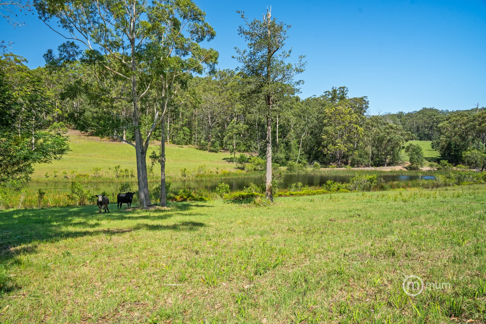 Additional image 22 of Milton NSW 2538