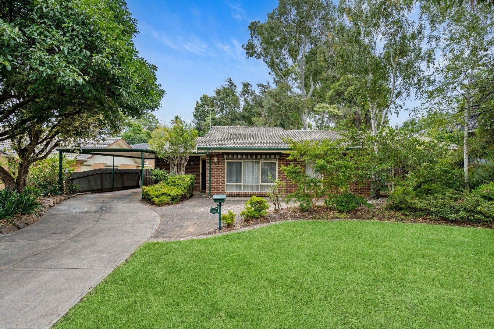 56 Cronulla Drive, Redwood Park SA 5097, Image 0