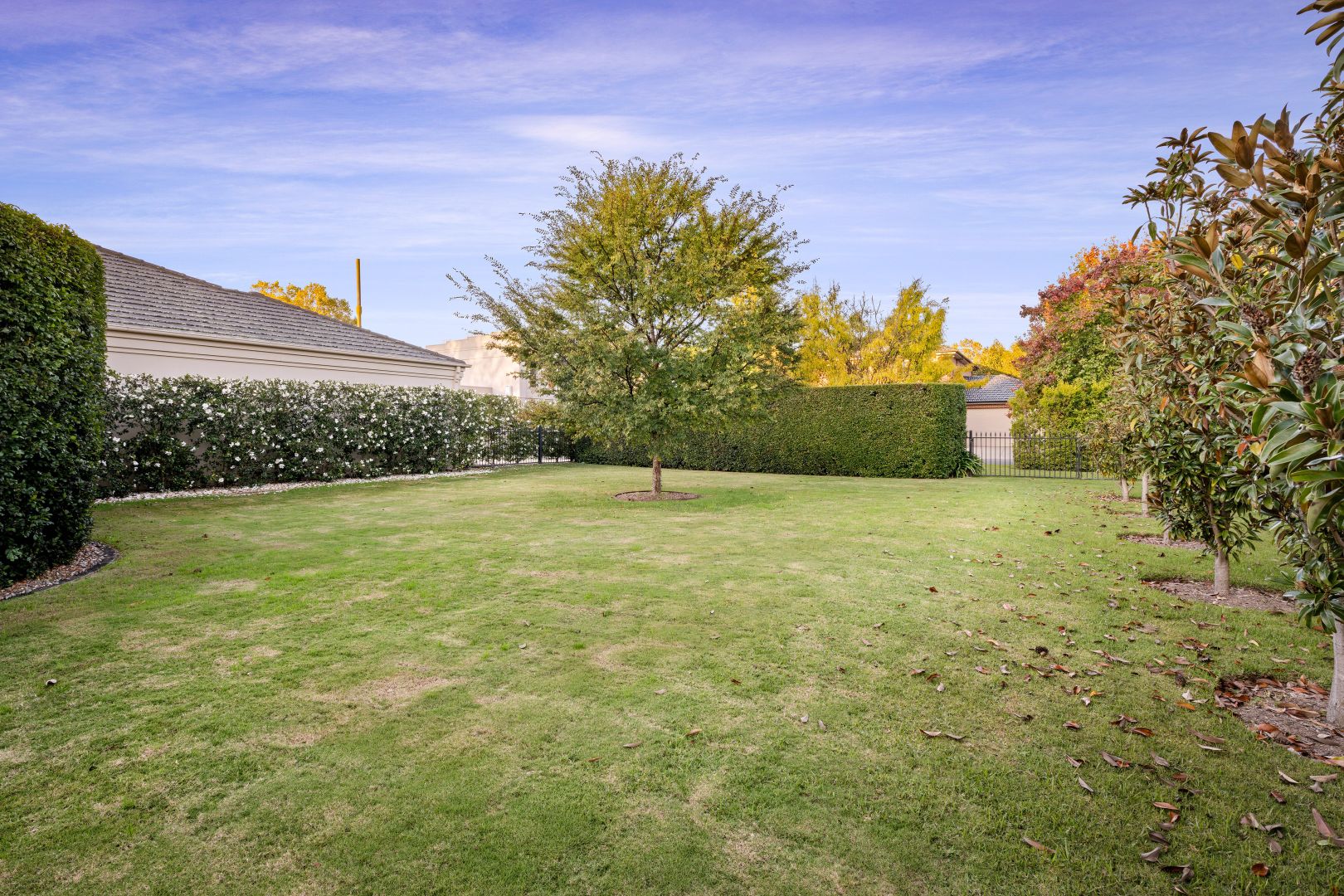 1 Vincent Place, Albury NSW 2640, Image 1