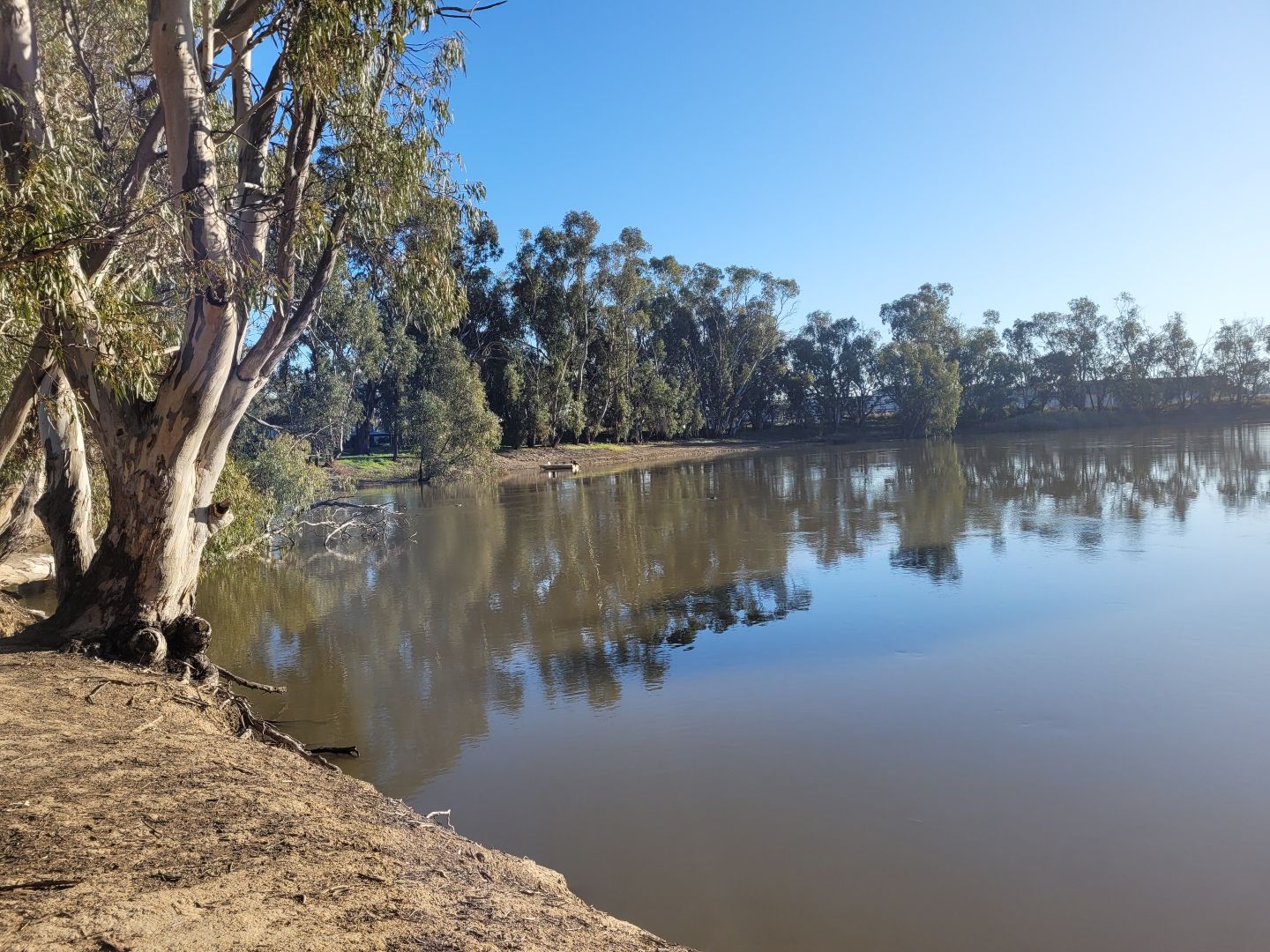 157A River Road, Swan Hill Property History & Address Research Domain