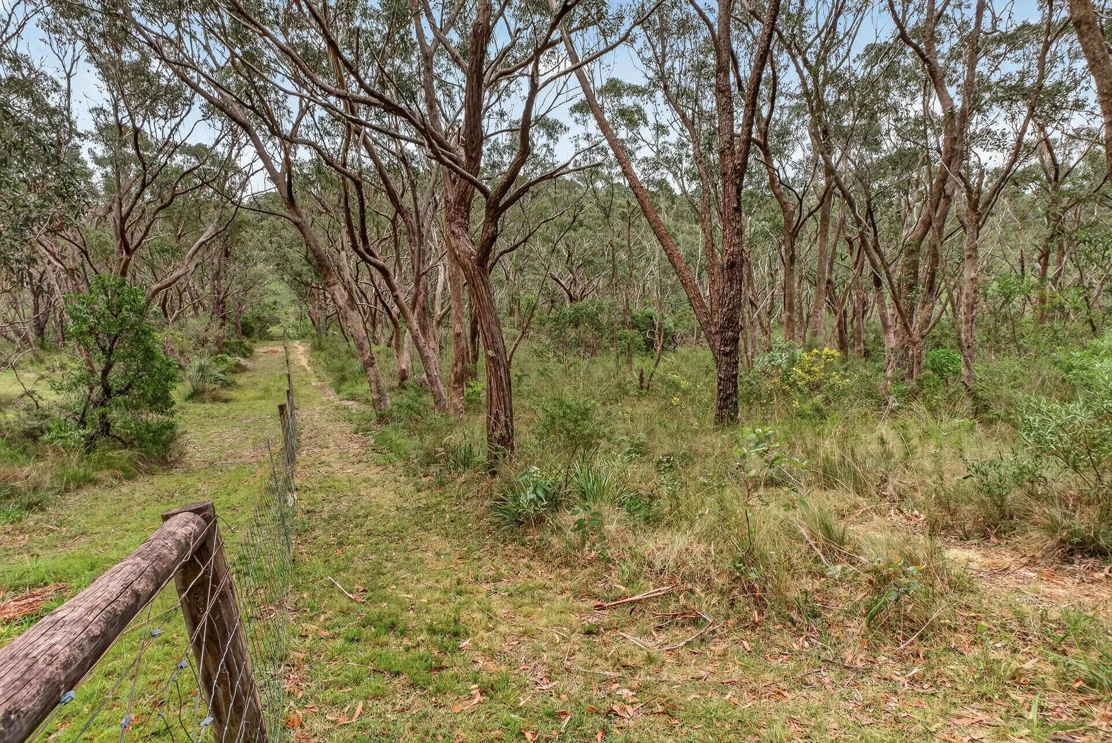 Image 14