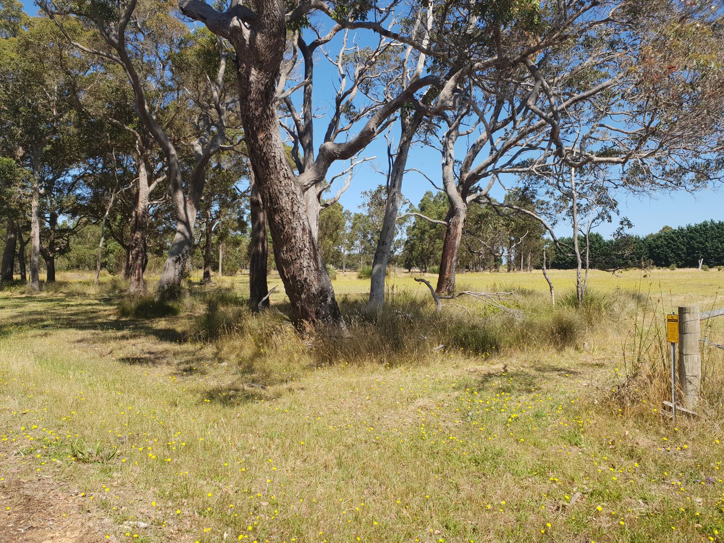 LOT 22 Quenda Drive, Northcliffe WA 6262 Vacant Land for Sale 160,000