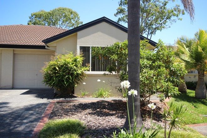 Picture of 3/2 James Foster Drive, HALLIDAYS POINT NSW 2430