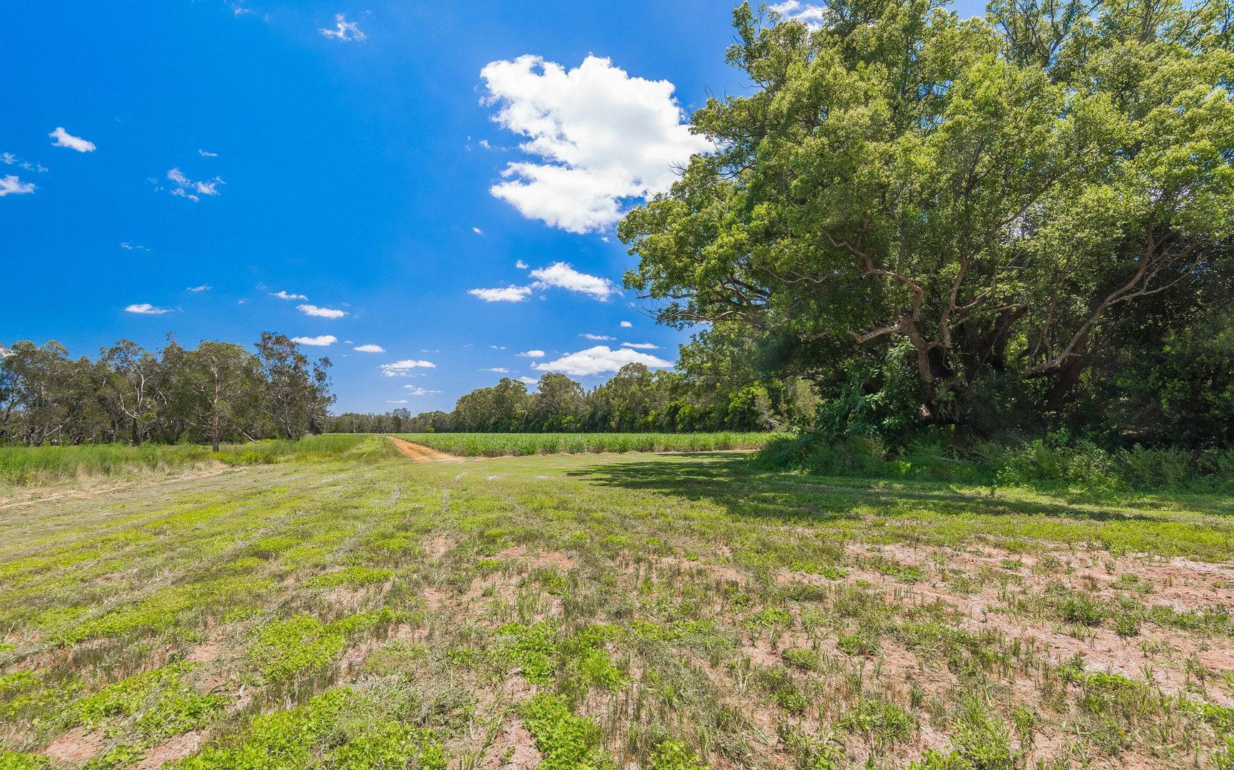 Lot 2 Byrons Lane, Tyndale NSW 2460, Image 2