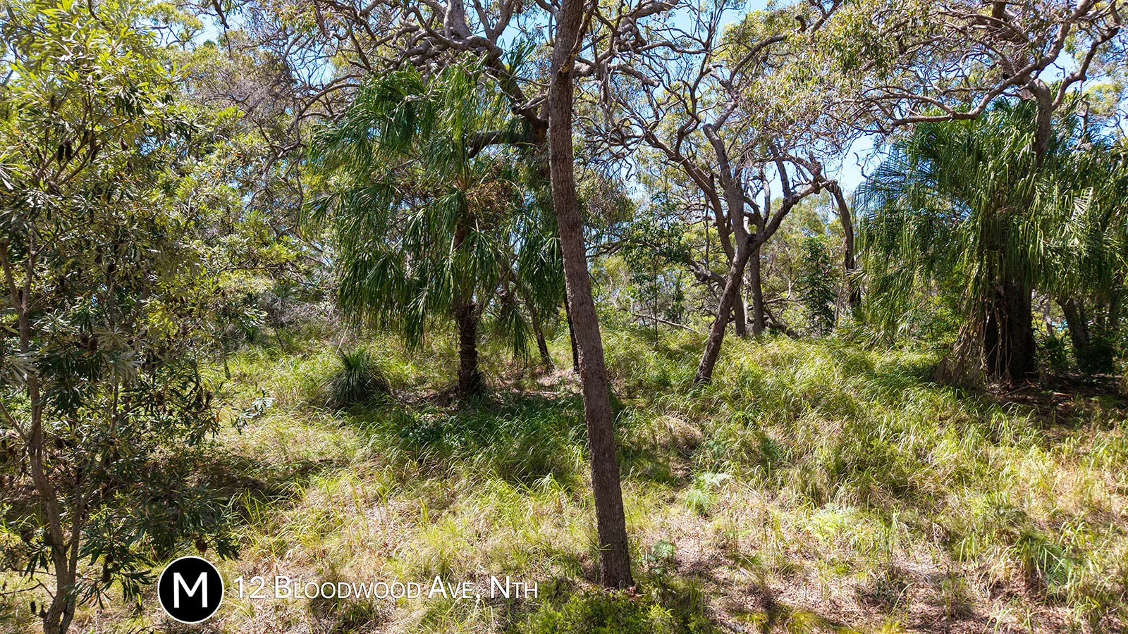 Additional image 11 of 12 Bloodwood Avenue North, Agnes Water QLD 4677