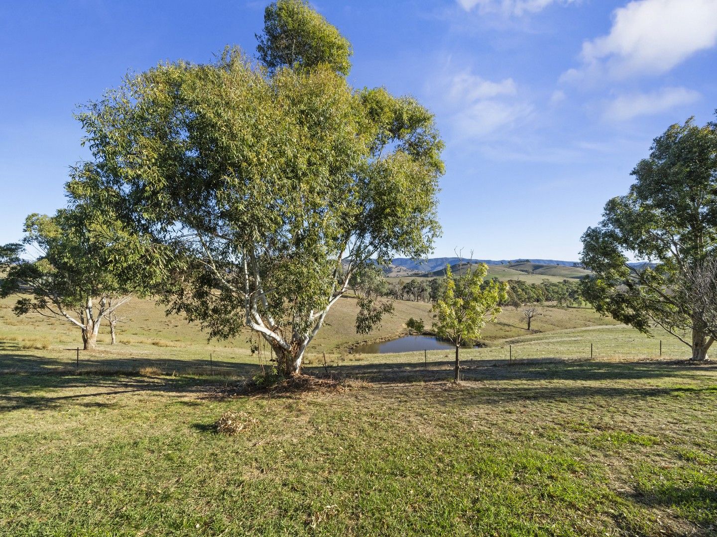 968 Monkey Gully Road, Goughs Bay VIC 3723 House for Sale Domain