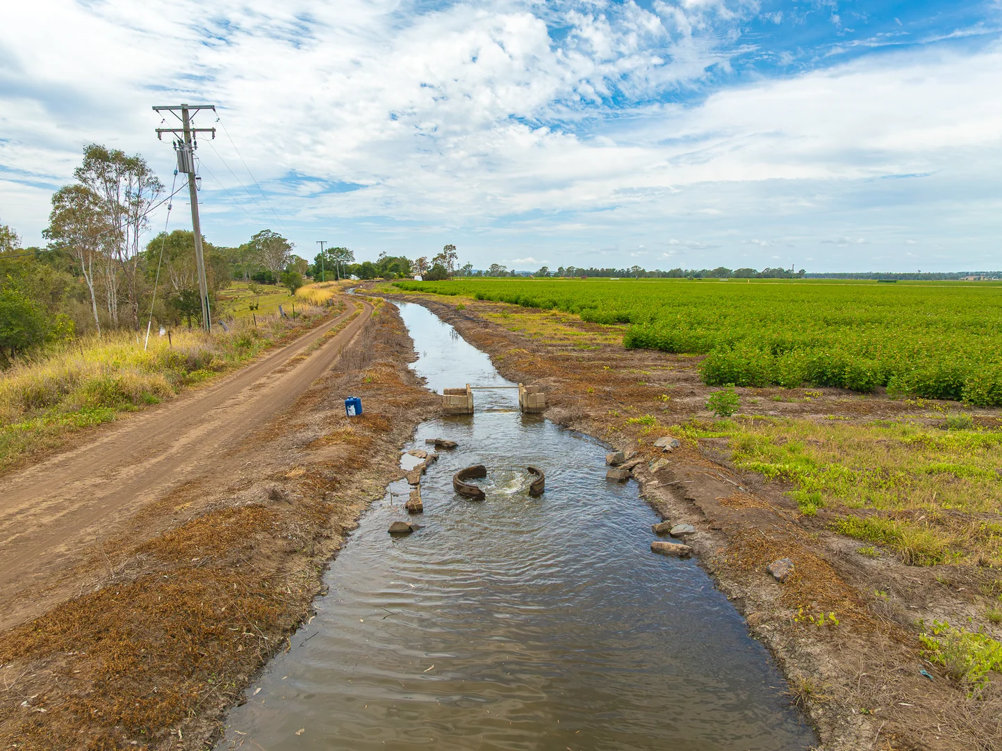 Image 15