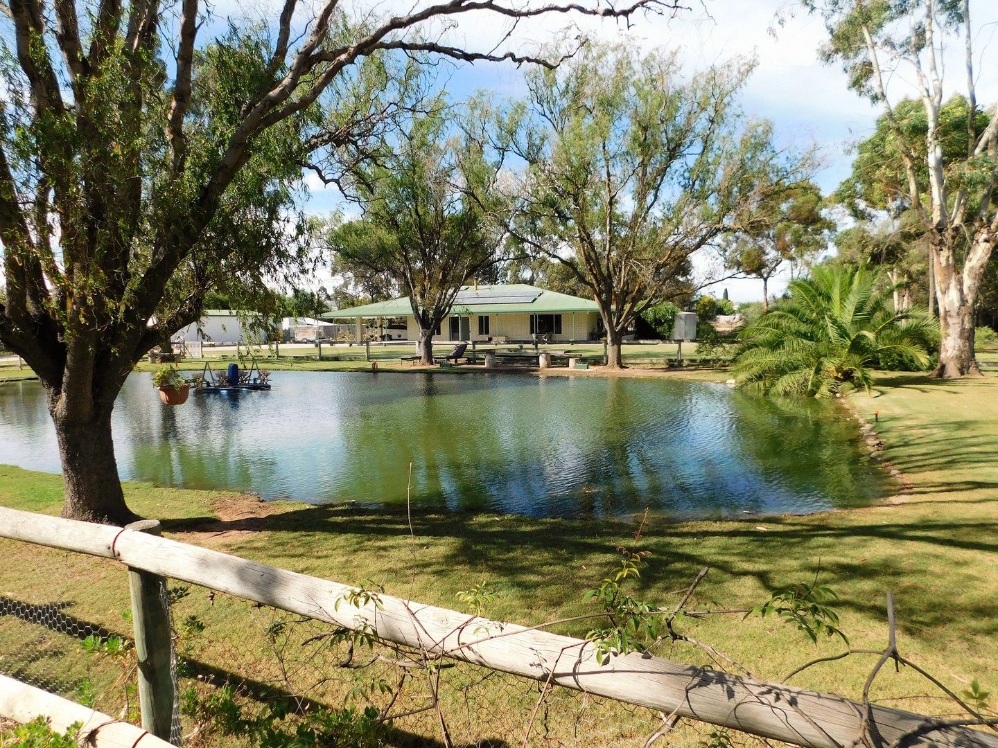 20 Green Street, Bordertown SA 5268, Image 0