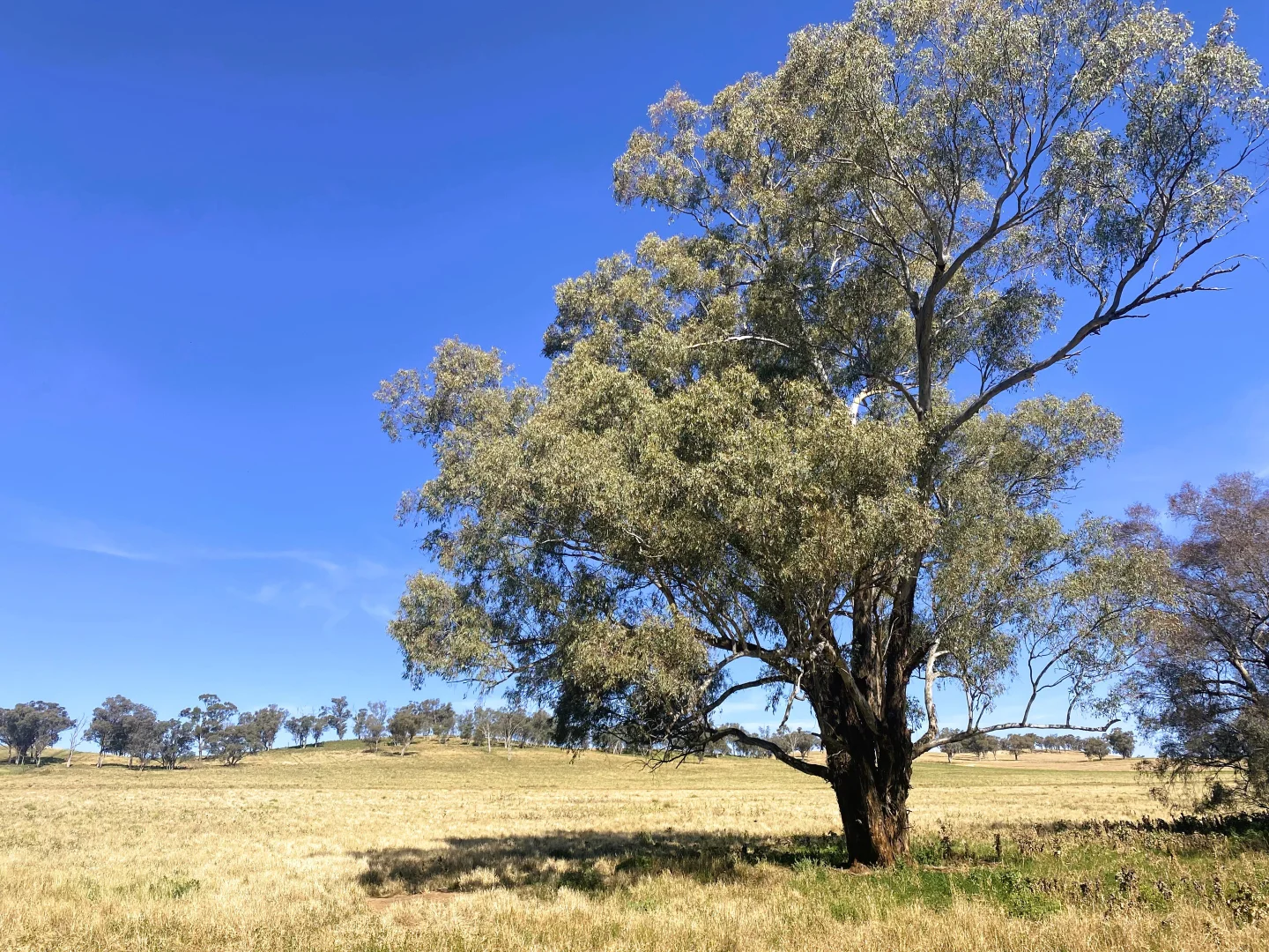 Image 14