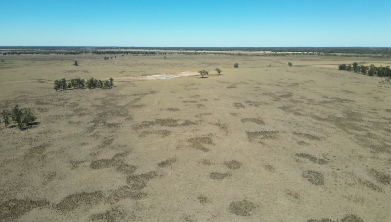 2758 Collie Trangie Road, Trangie NSW 2823 Farm for Sale Domain