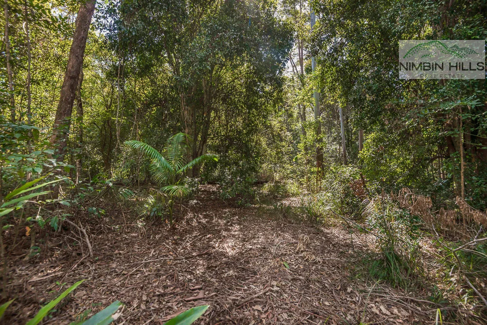 Image 14