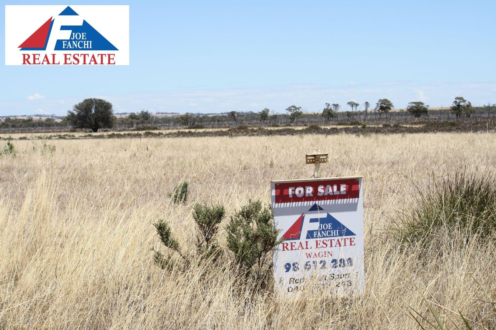 Lot 1 Rifle Range Road, Dumbleyung WA 6350, Image 0