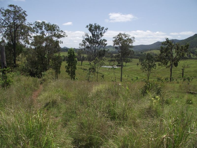 Upper Glastonbury QLD 4570, Image 2