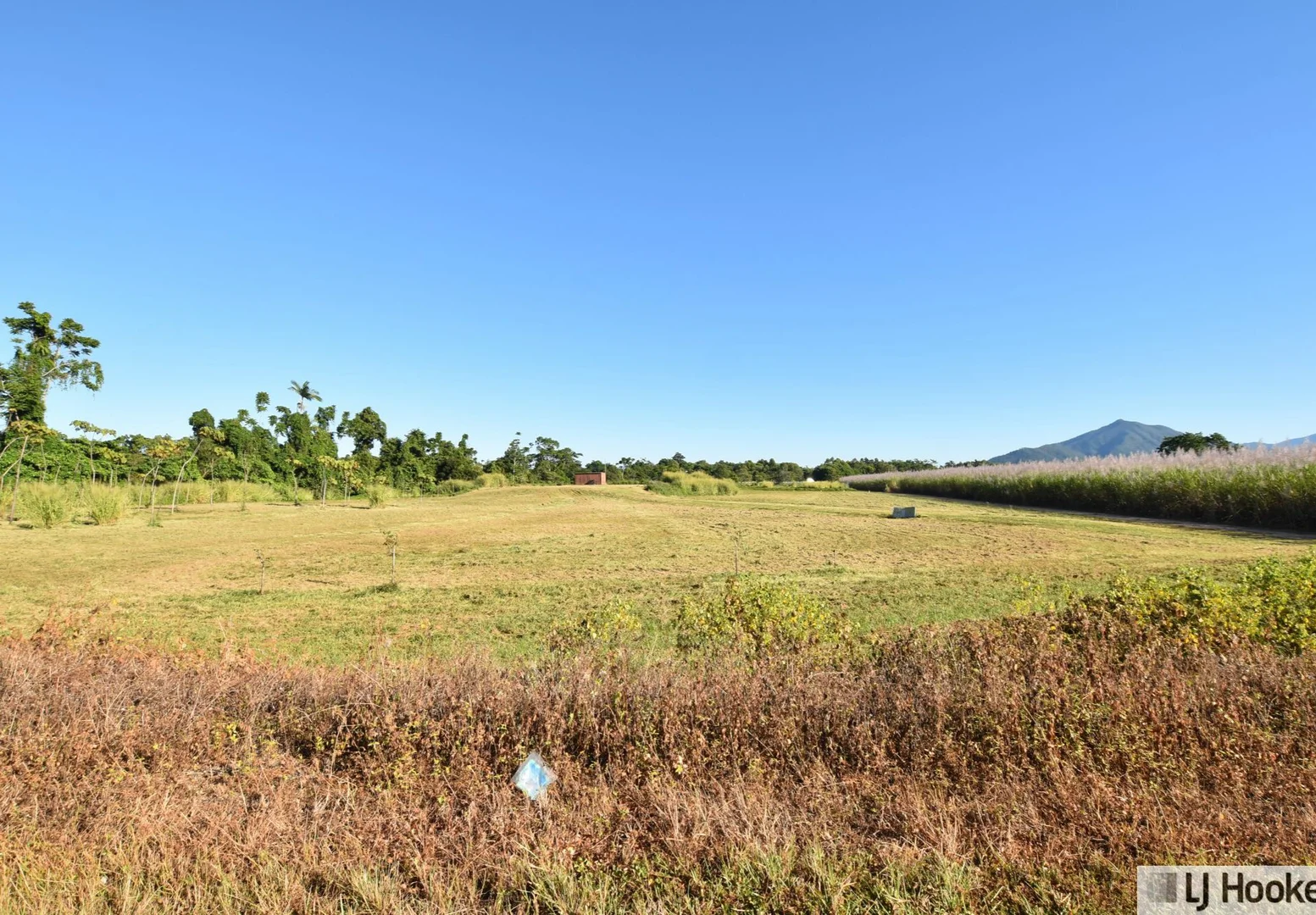 Image 10