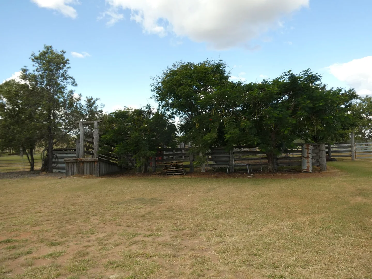 Image 31