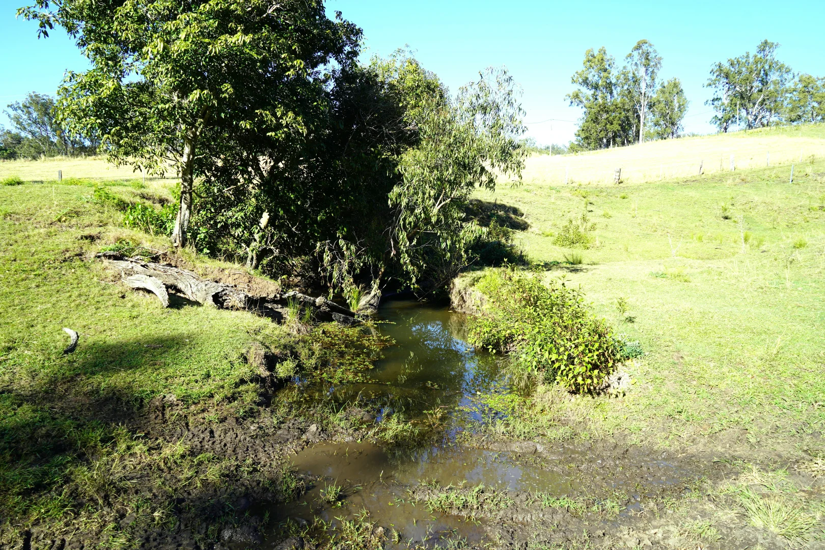 Image 7