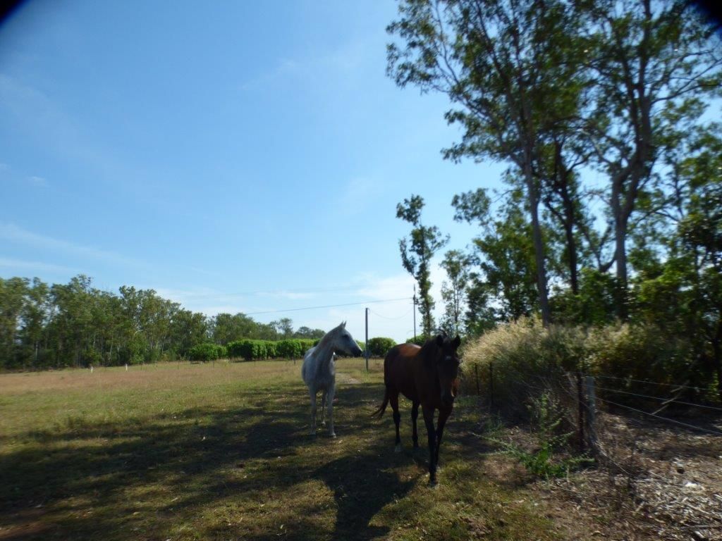 1105 Livingstone Road, Berry Springs NT 0838, Image 0