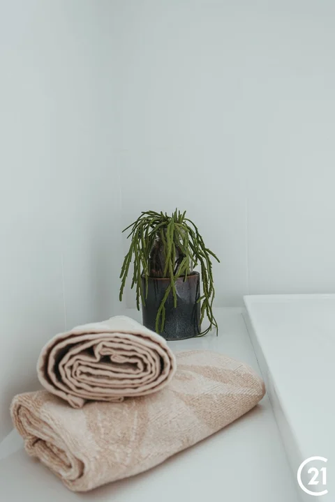 Image 13