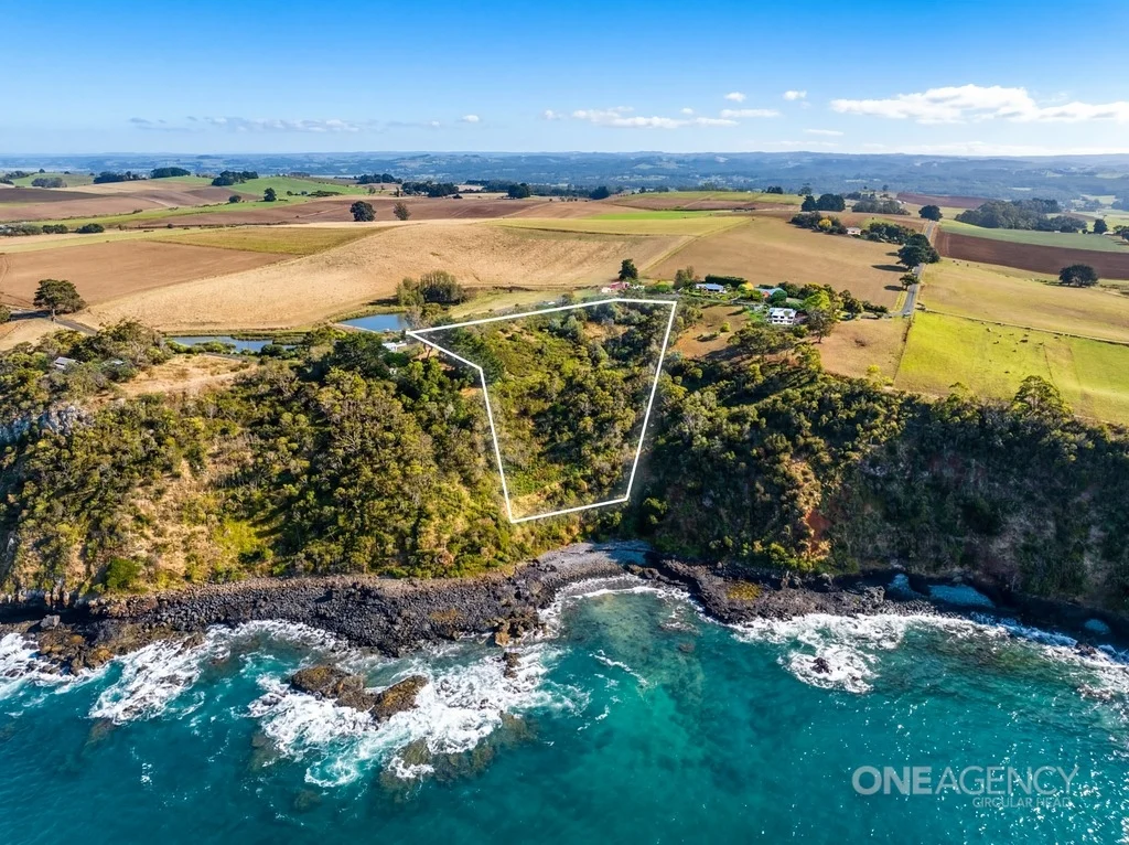 Additional image 2 of 472 Tollymore Road, Table Cape TAS 7325