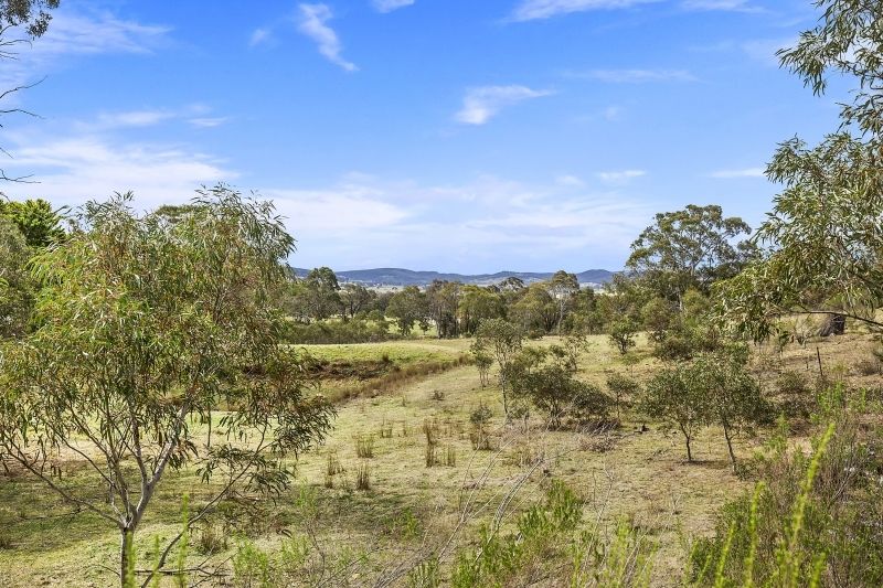 684 Carrick Rd, Carrick NSW 2580, Image 1