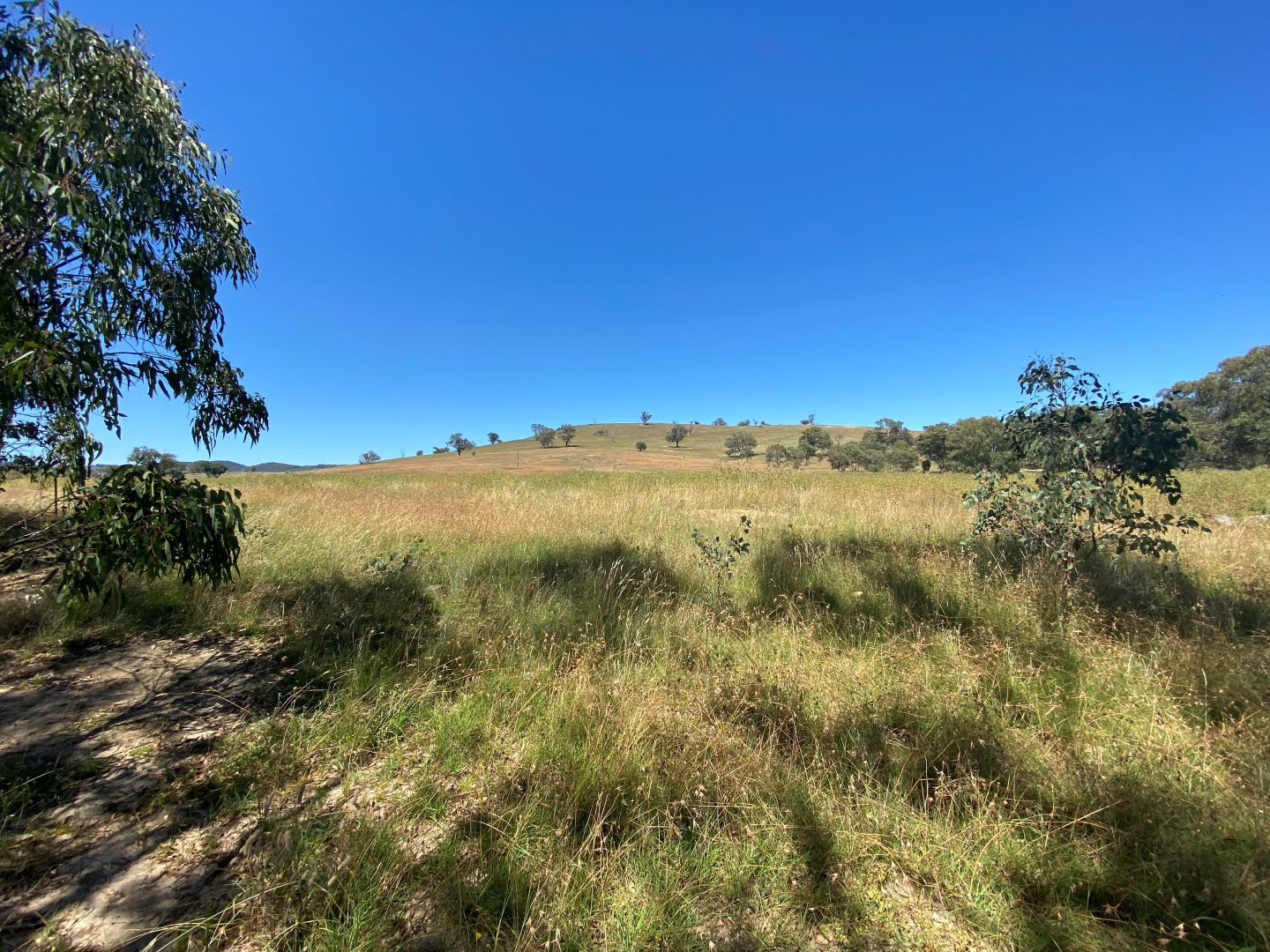 69 Campbells Creek Road, Mudgee NSW 2850, Image 2