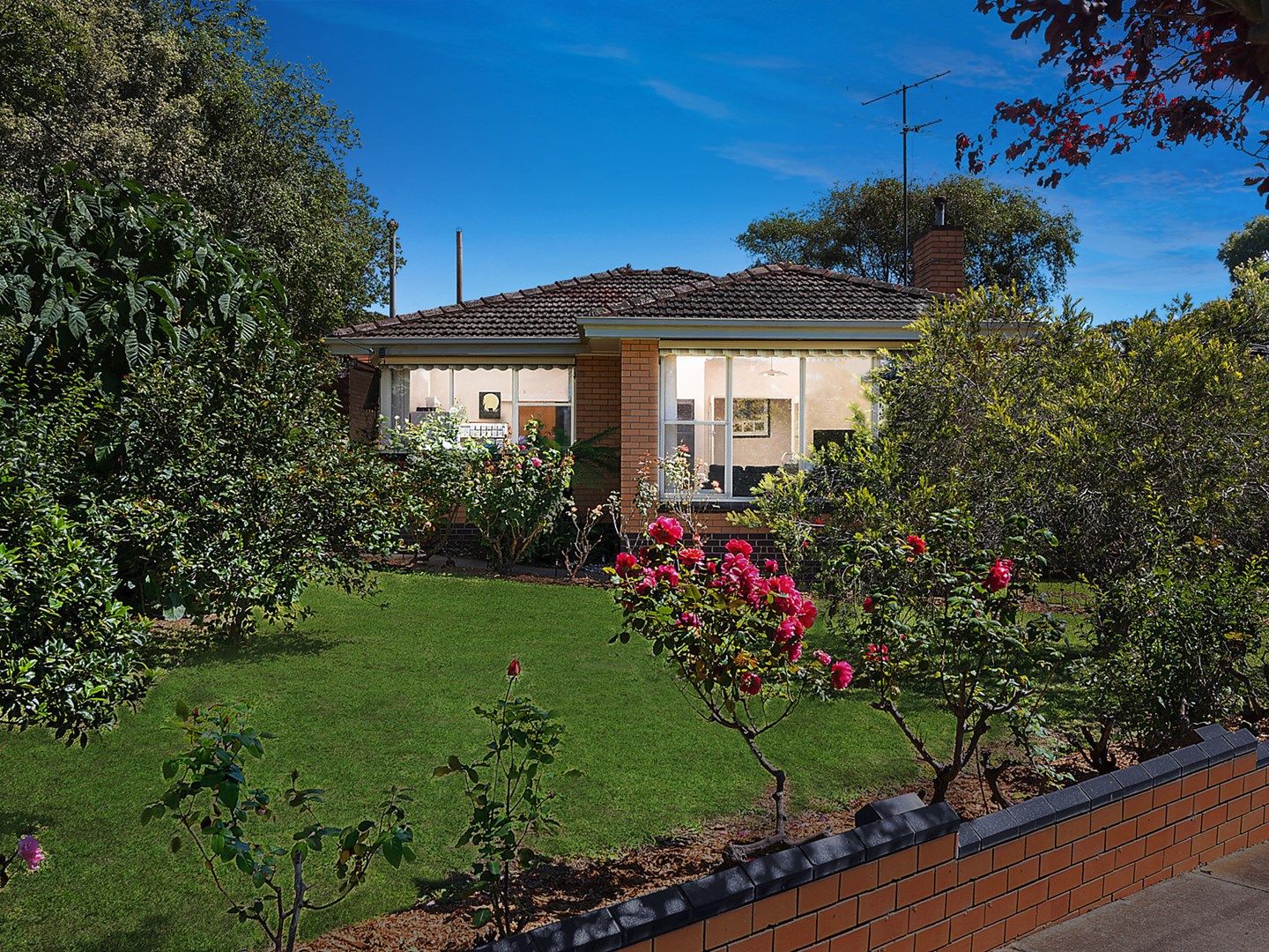 4 Montgomery Avenue, Hamlyn Heights VIC 3215, Image 0