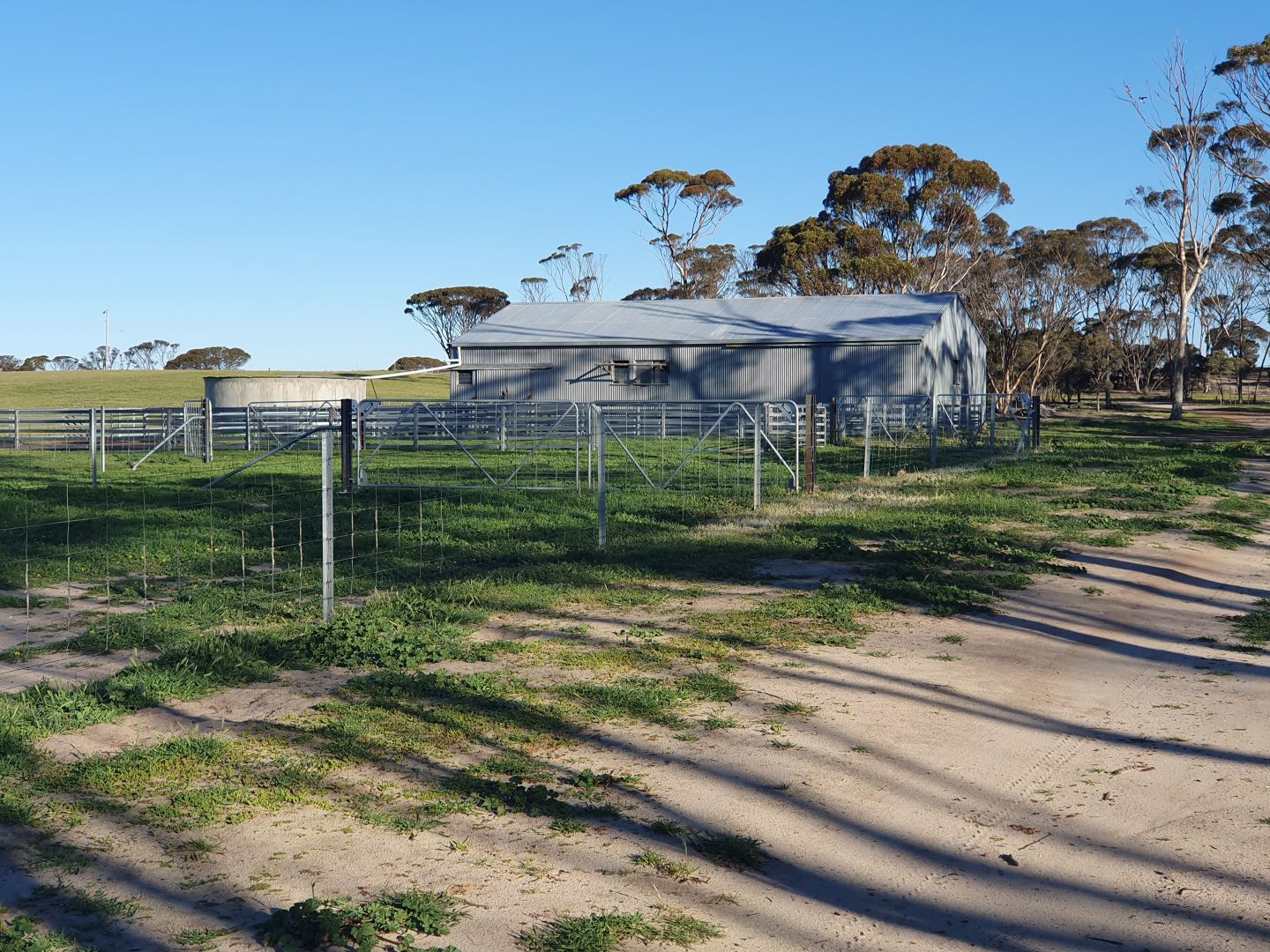 2405 North Needilup Rd, Pingrup WA 6343, Image 2