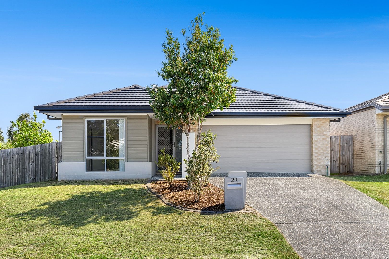 29 Tribeca Circuit, Coomera QLD 4209 House For Rent Domain
