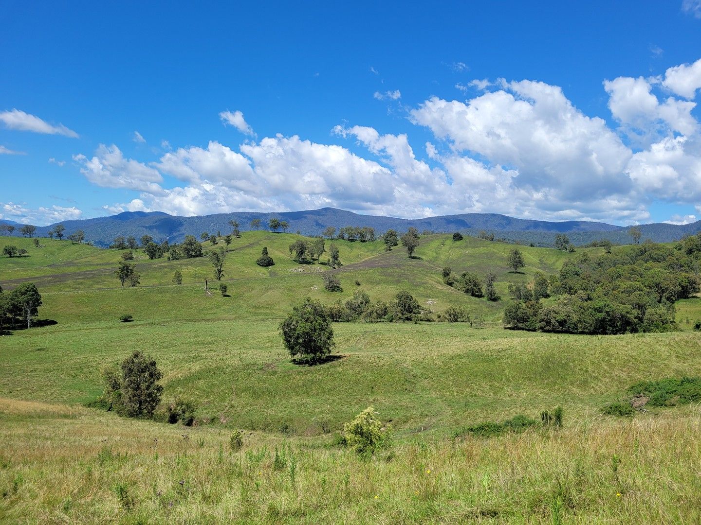 Lot 2 Neringla Road, Neringla NSW 2622, Image 0