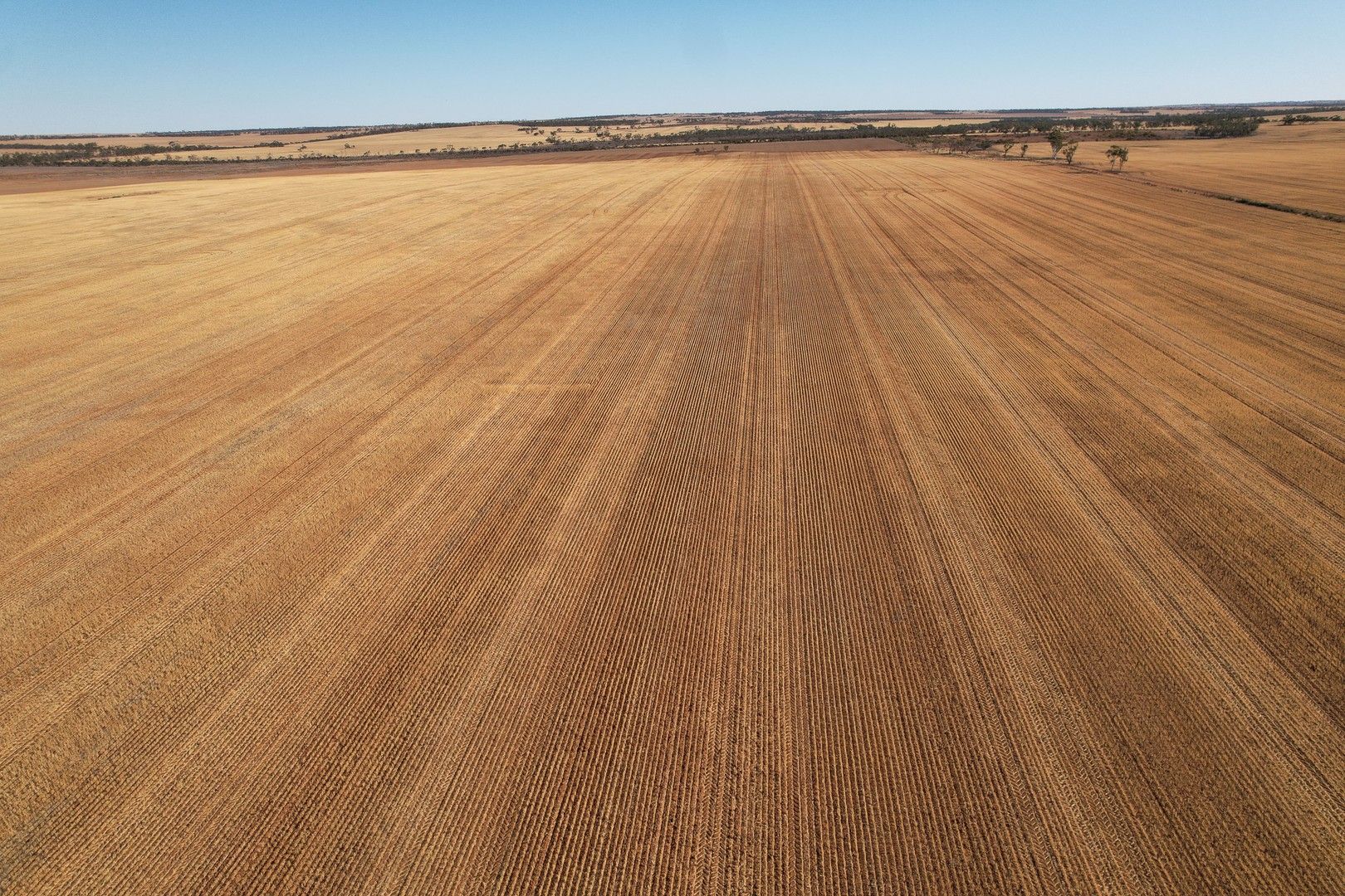 Rural in , PERENJORI WA, 6620