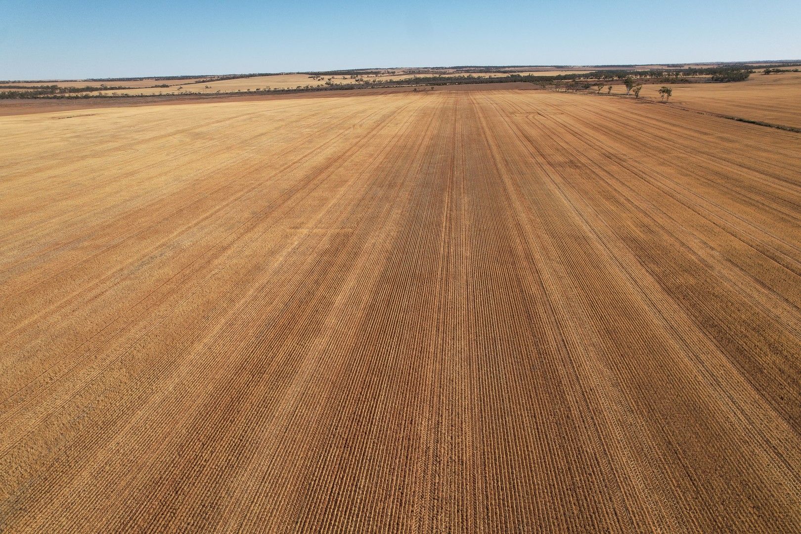 Perenjori WA 6620, Image 0