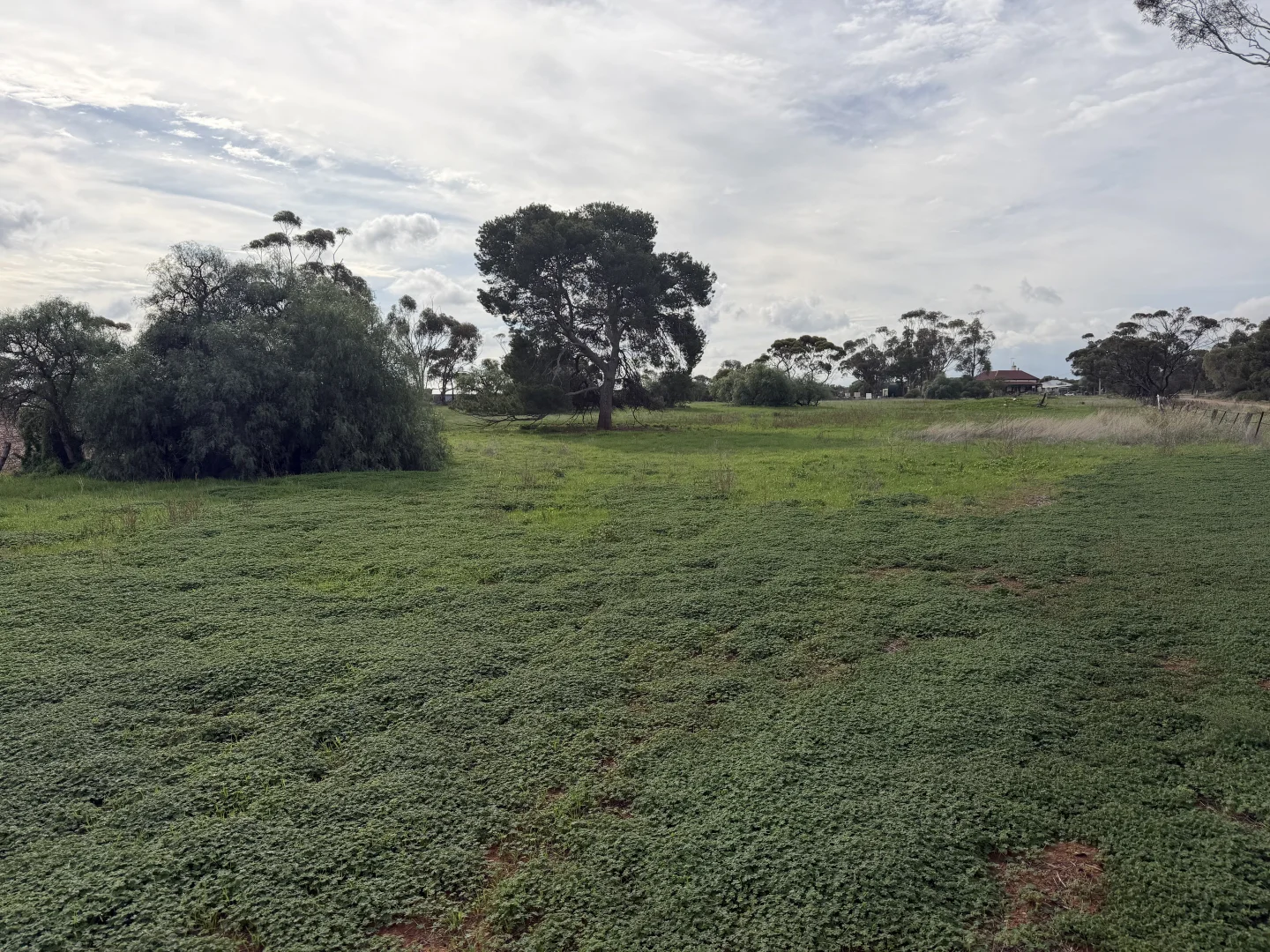 Image 12