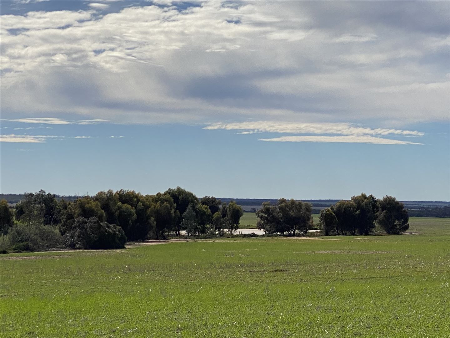 . 'Green Wood', Cleary WA 6472, Image 1