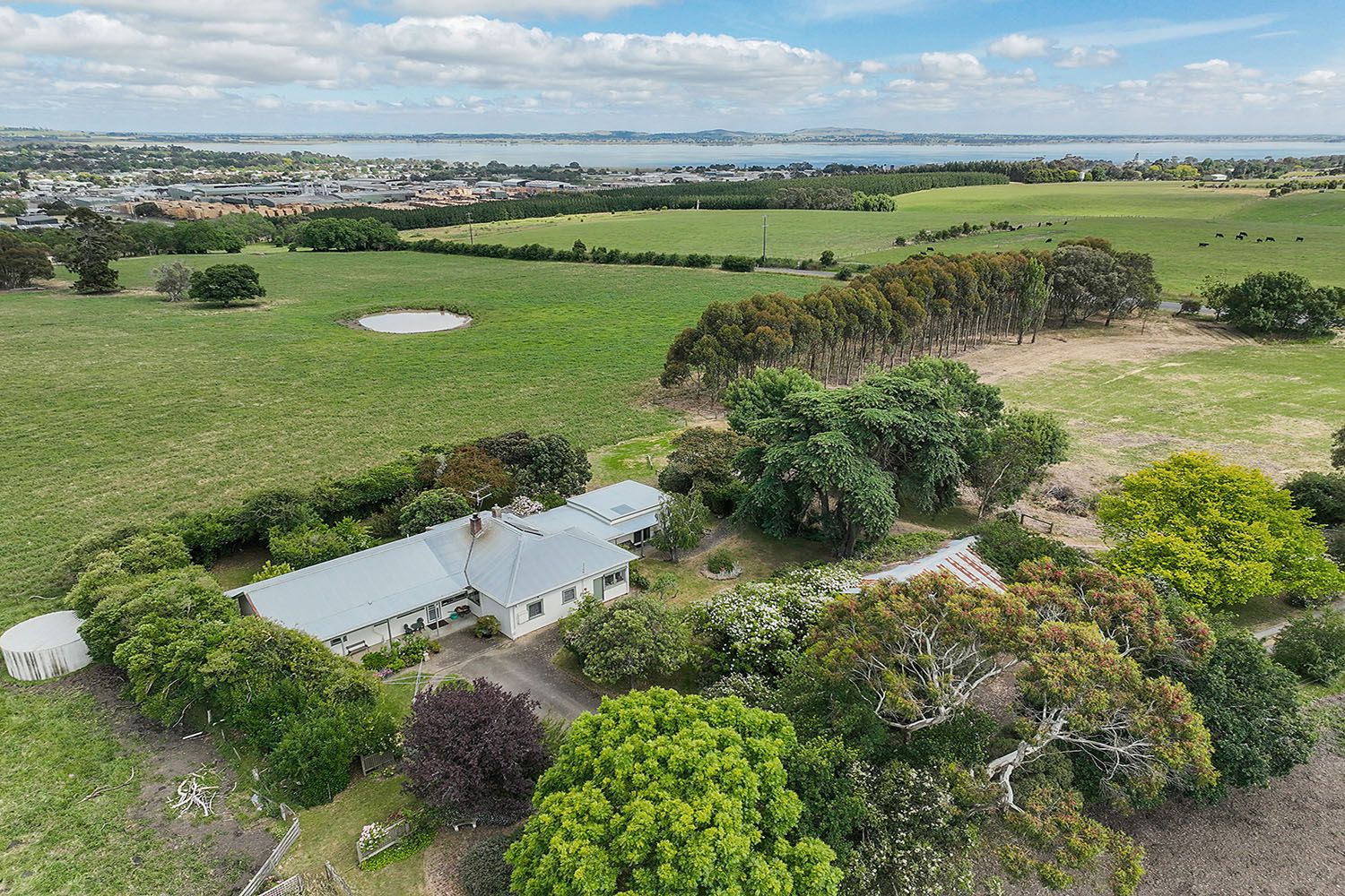 110 Colac-Forrest Road, Yeo VIC 3249, Image 0