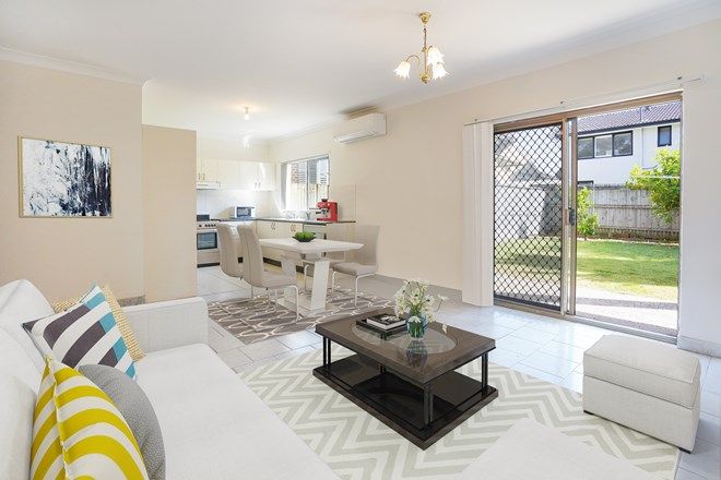 60 2 Bedroom Apartments For Rent In Beacon Hill Nsw 2100 Domain