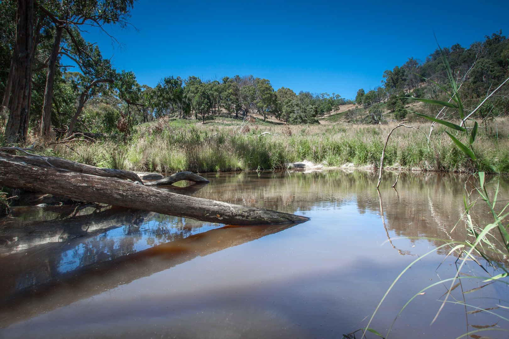 496 Youngs Road, Baynton VIC 3444, Image 1