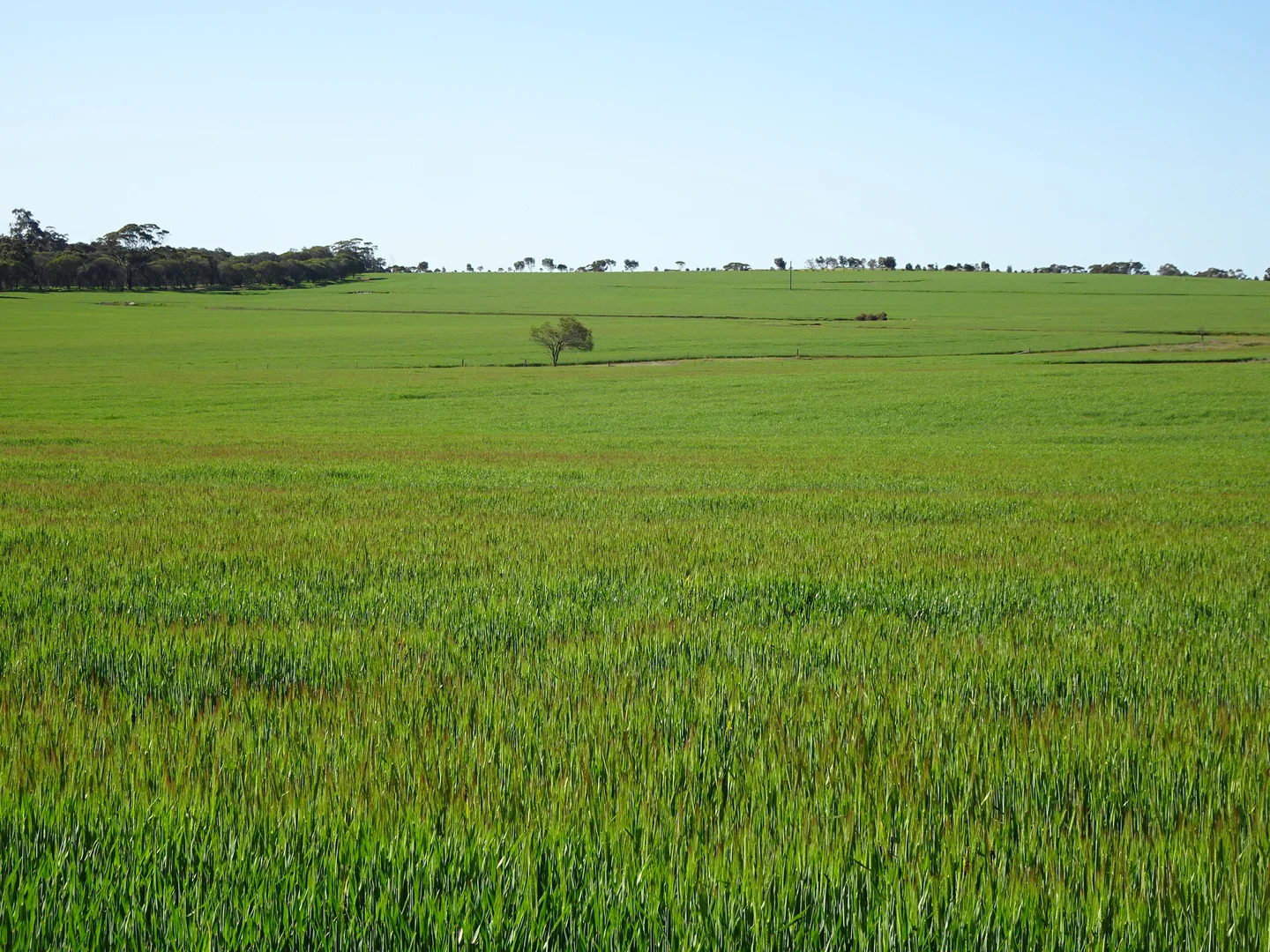 Image 14