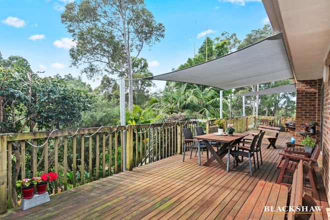 Picture of 20 Elouera Close, LILLI PILLI NSW 2536