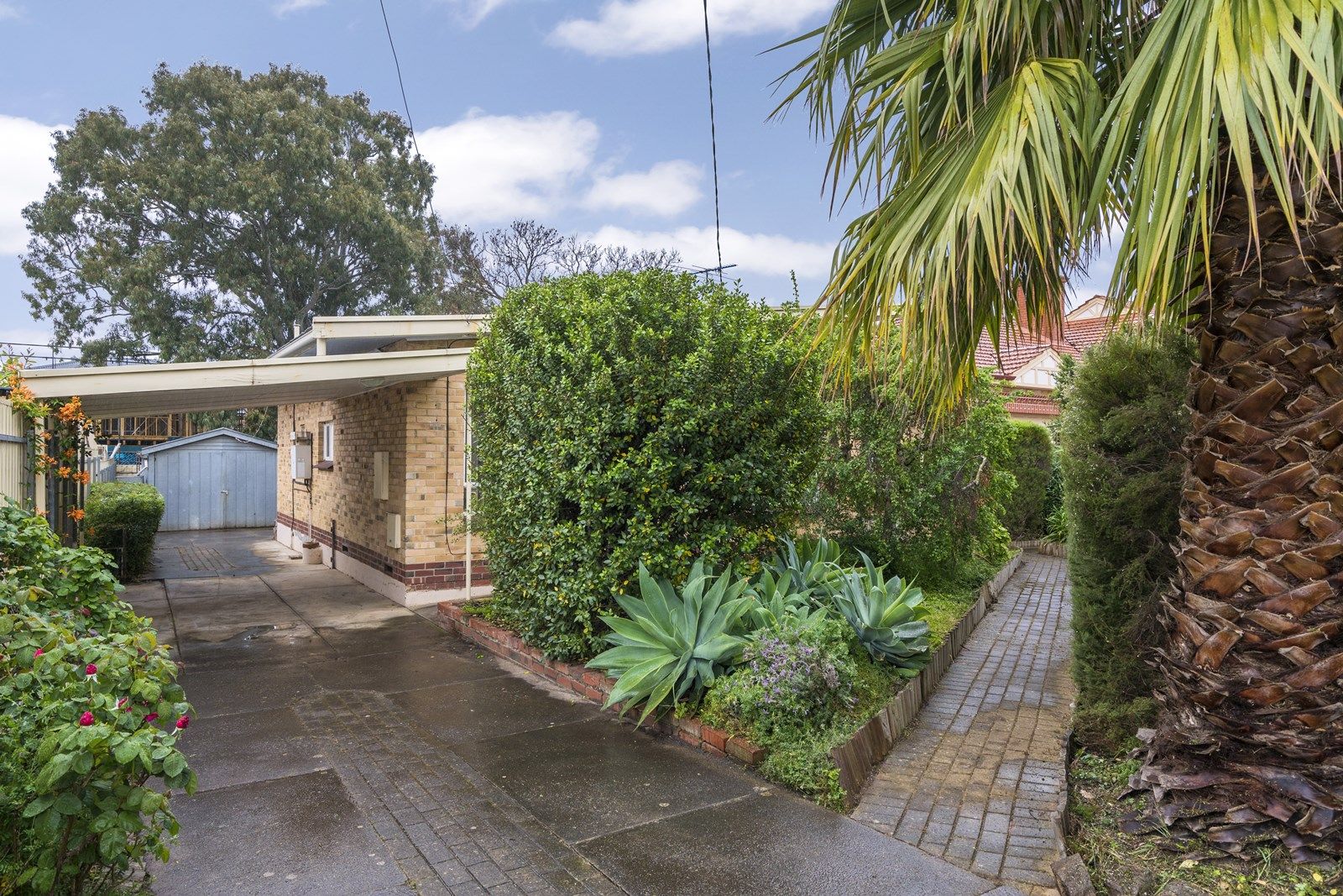 31 Leonard Street, Magill SA 5072, Image 1