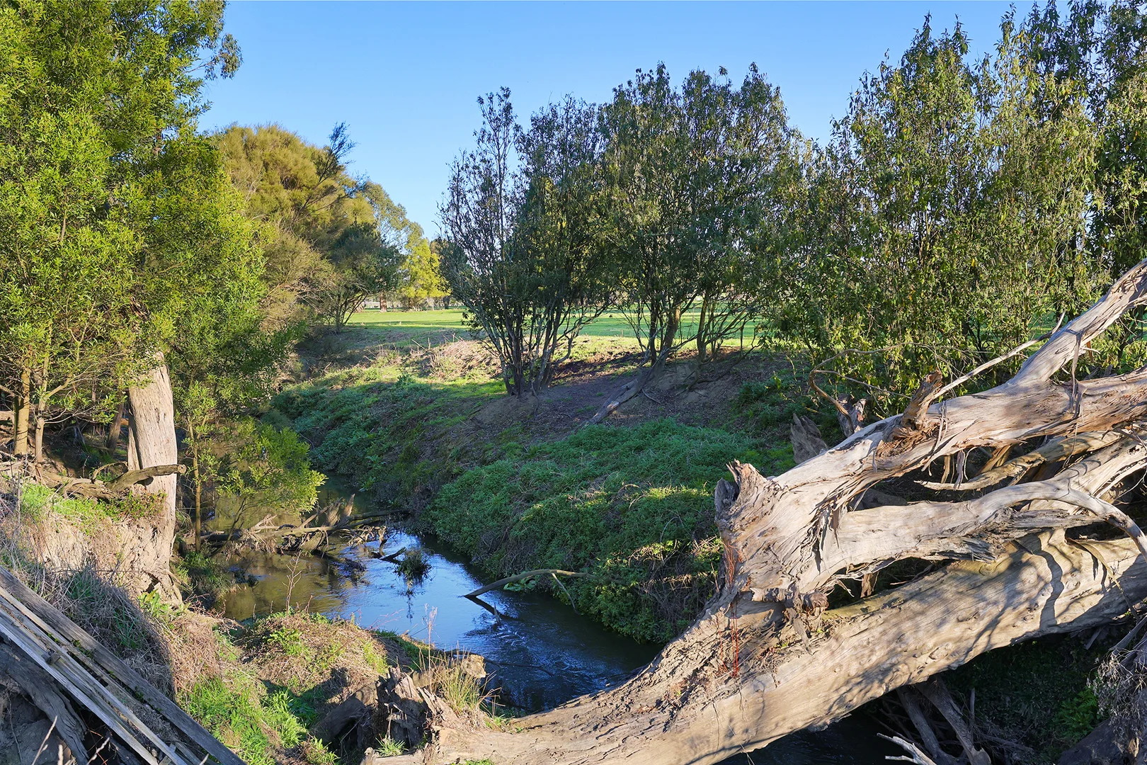 Image 10