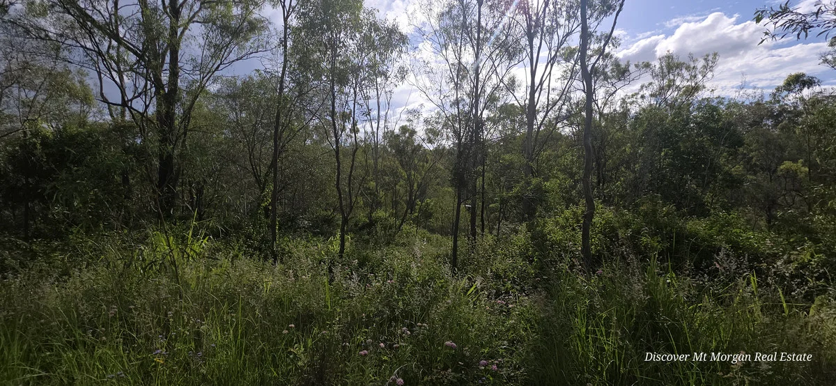 Image 16