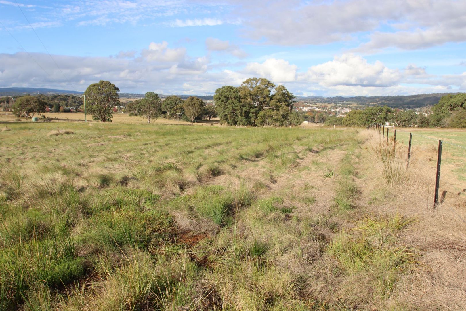 Lot 826 Neagles Lane, Tenterfield NSW 2372, Image 2