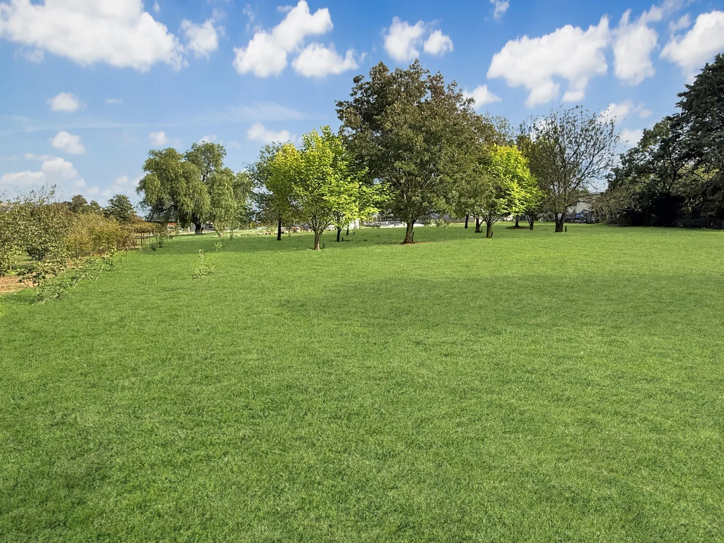 Additional image 22 of 28 Nasmyth Street, Young NSW 2594