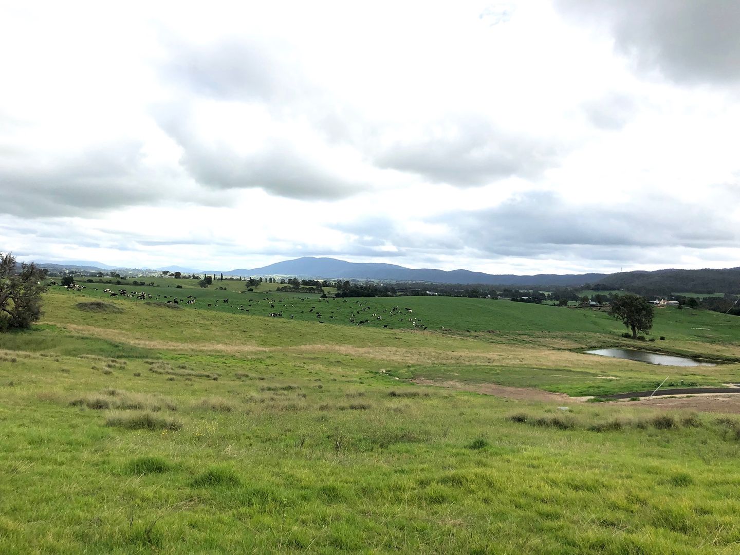 Lot 205 Barrumbarra Place, Bega NSW 2550, Image 1