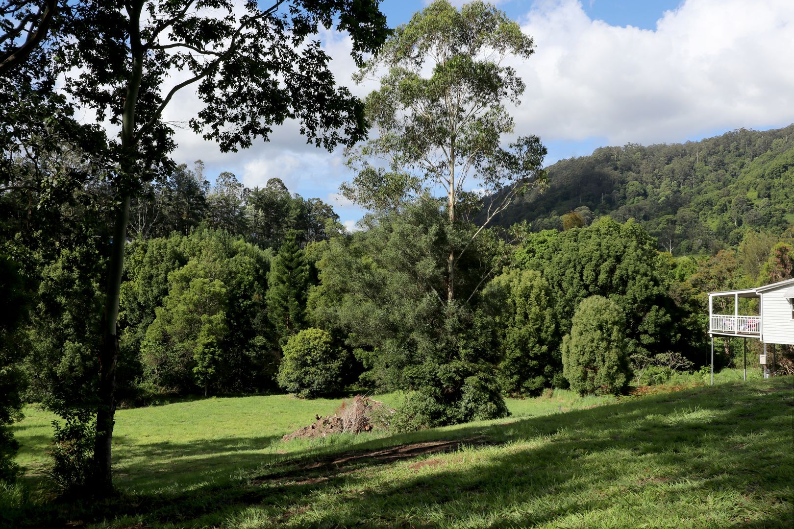 50 Basil Road, Nimbin NSW 2480 Domain